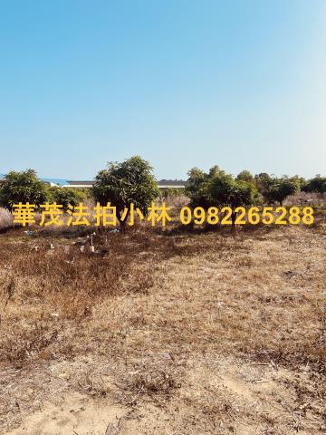 台南農地-3