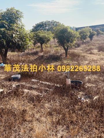 台南農地-4