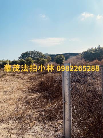 台南農地-5
