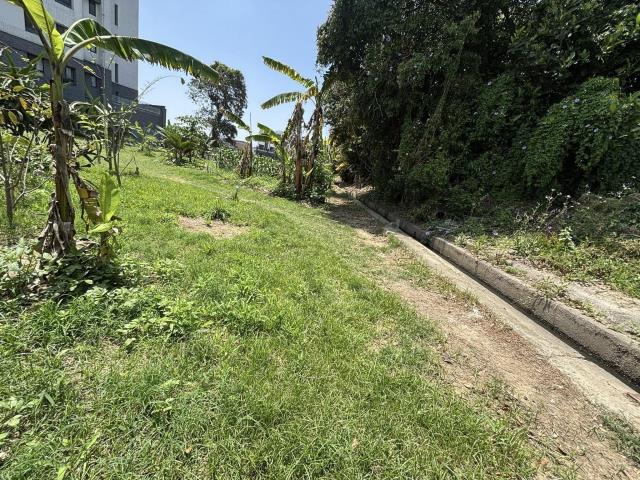 台中大雅農地-7