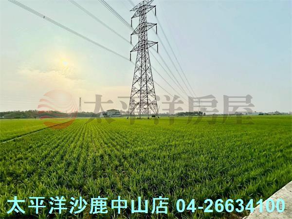 台中大肚農地-3