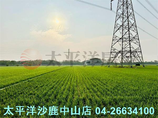 台中大肚農地-4