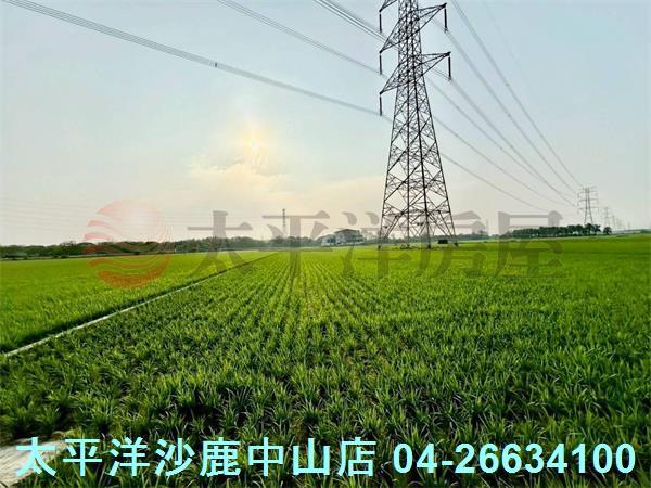 台中大肚農地-5