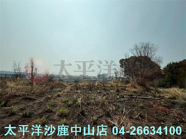 台中沙鹿建地-3