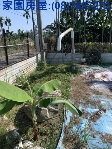屏東長治農地-7