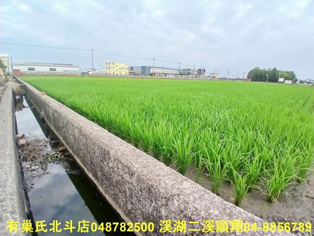 彰化埔鹽農地-5