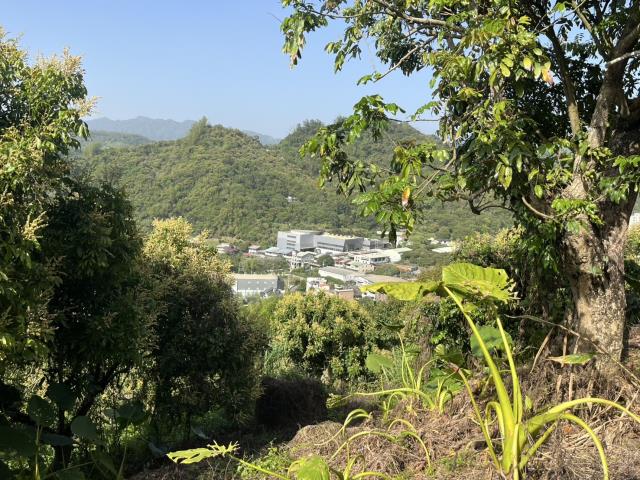 太平農地-6