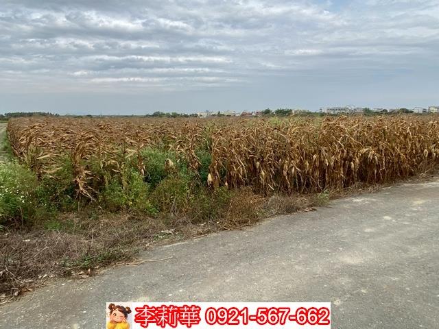 台南農地-12