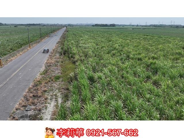 台南農地-4