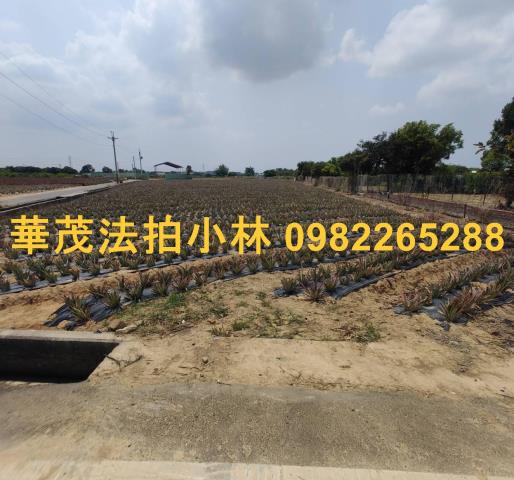 台南農地法拍-3