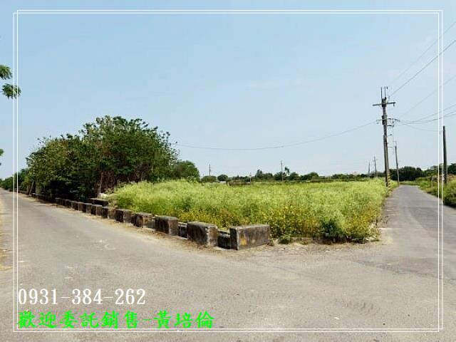 中洲火車站三面路農地