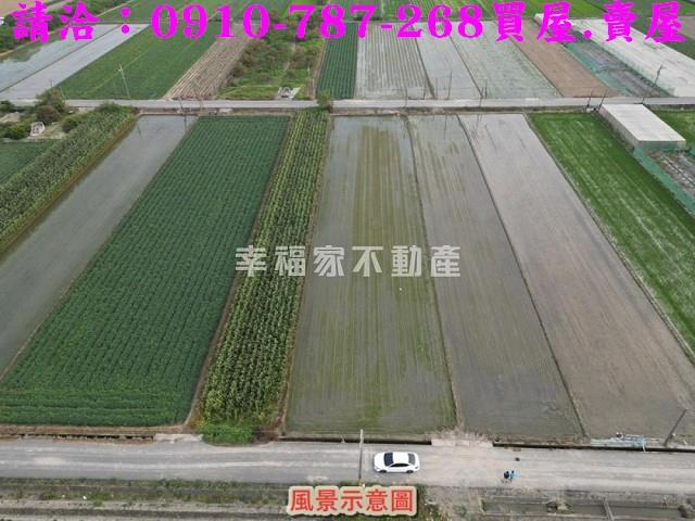 台南佳里農地-12