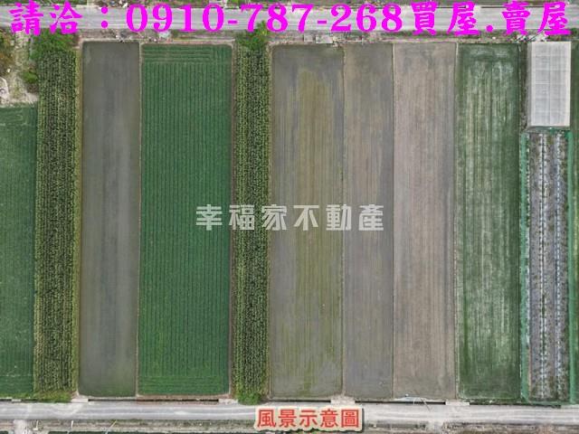 台南佳里農地-13