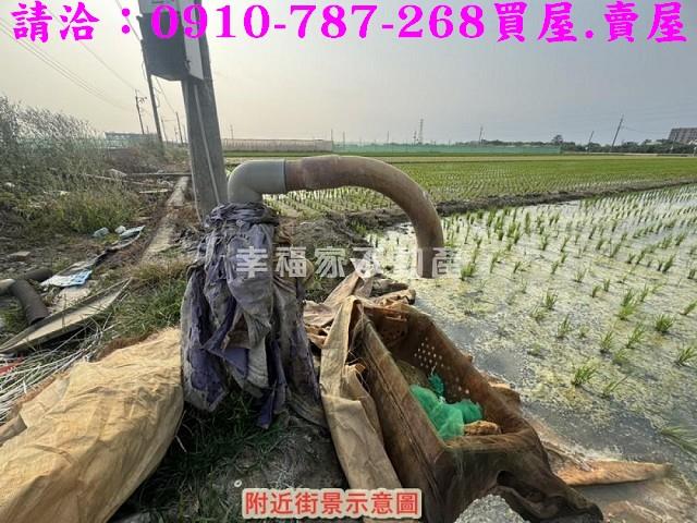 台南佳里農地-15