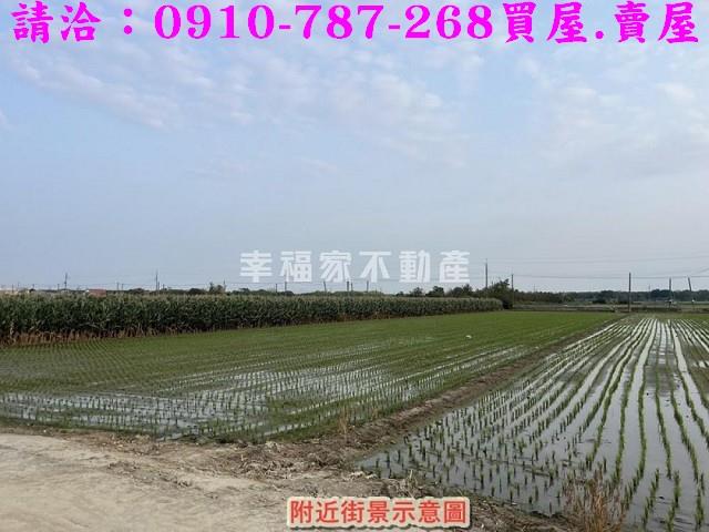 台南佳里農地-3