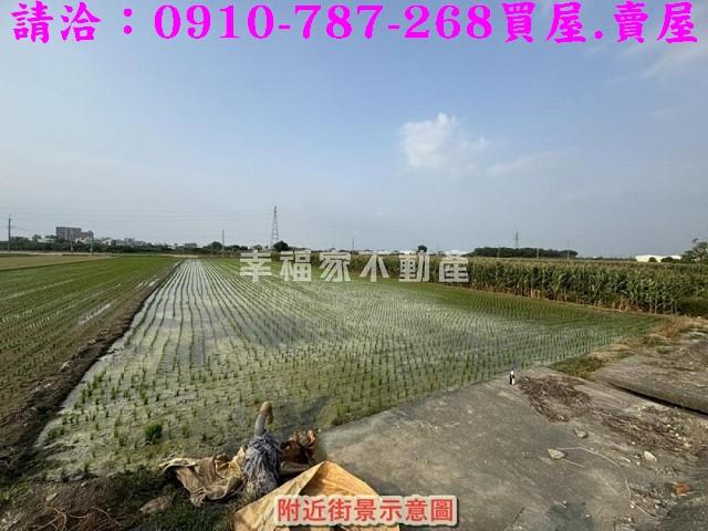 台南佳里農地-6