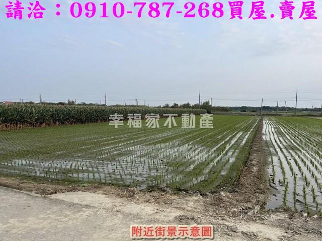 台南佳里農地-8