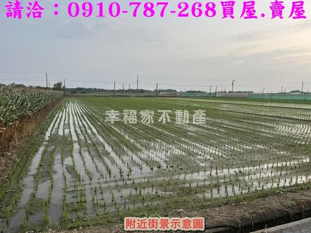 台南佳里農地-9