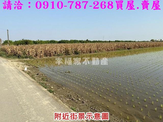 台南麻豆農地-6