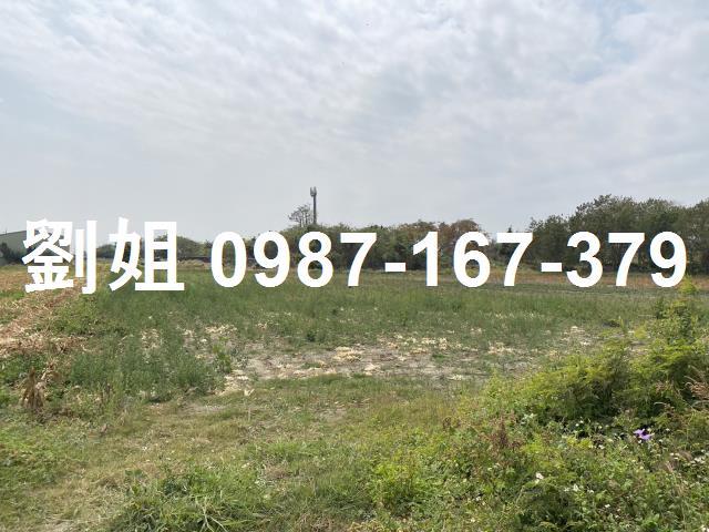 鹽水農地-1