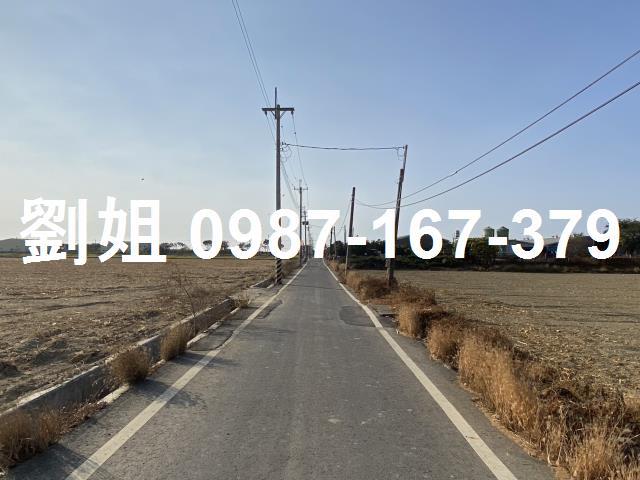 鹽水農地-2