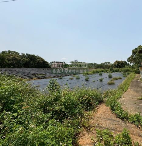 東區建地-2