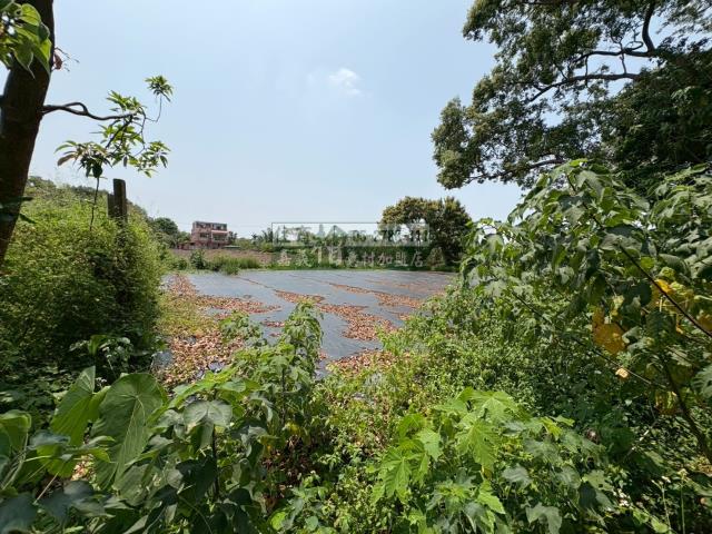 東區建地-4