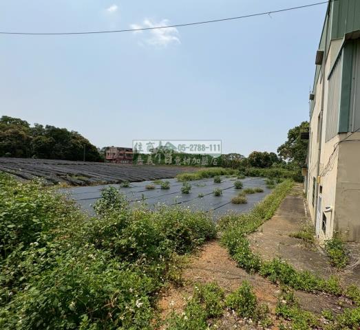 東區建地-7