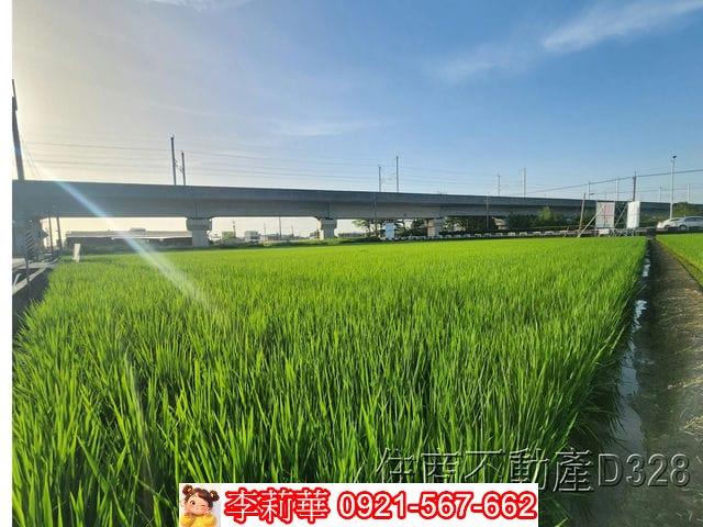 六甲農地-11