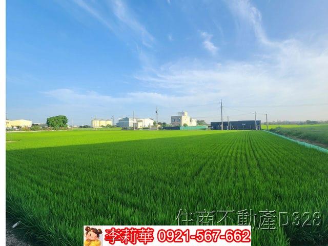 六甲農地-12