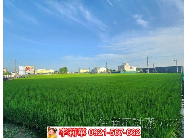 六甲農地-13