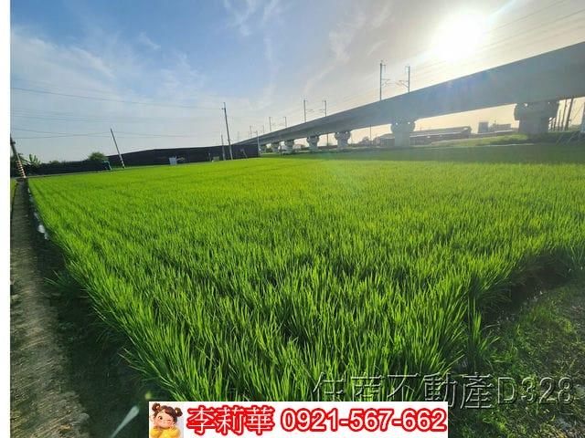 六甲農地-7