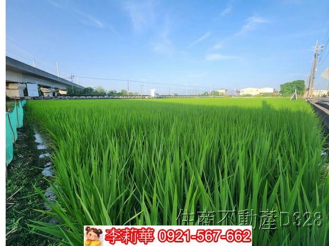 六甲農地-8