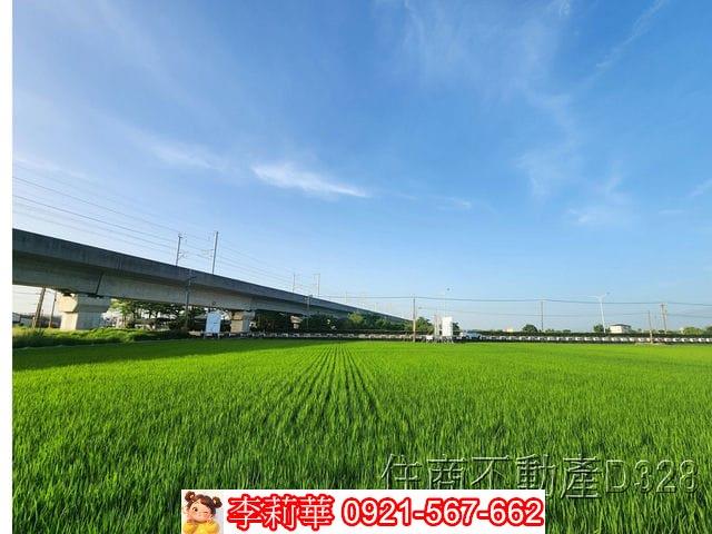 六甲農地-9