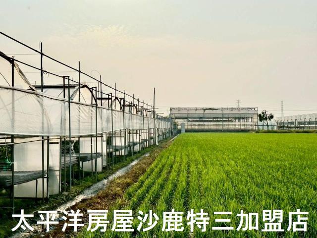 大肚農地-6