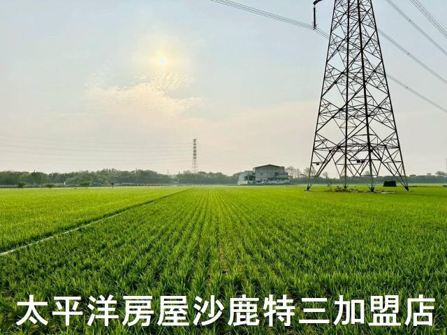 大肚農地-3