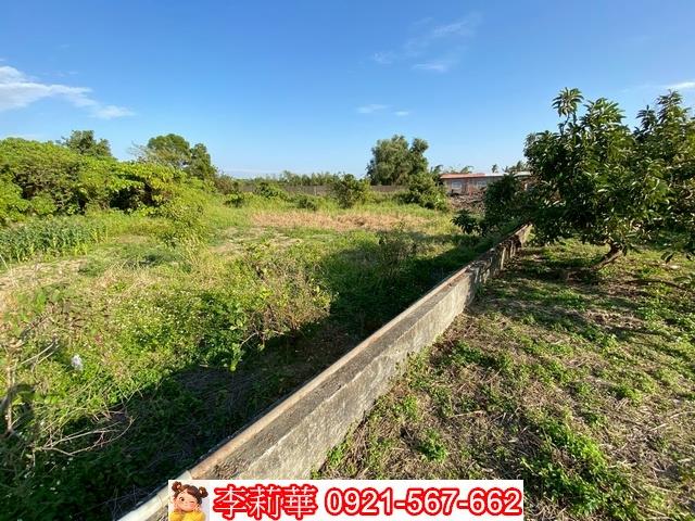 官田建地-7