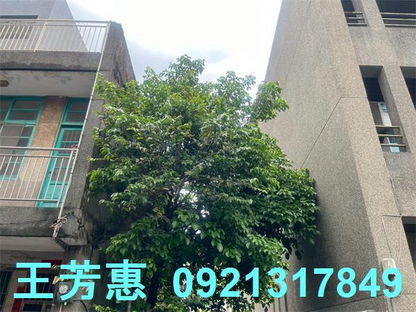 台中后里建地-9