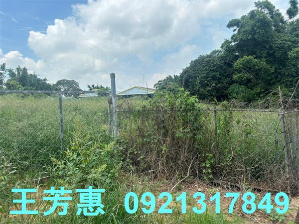 台中后里農地-2
