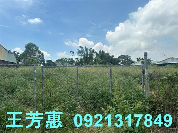 台中后里農地-3