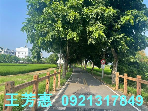 台中神岡農地-14