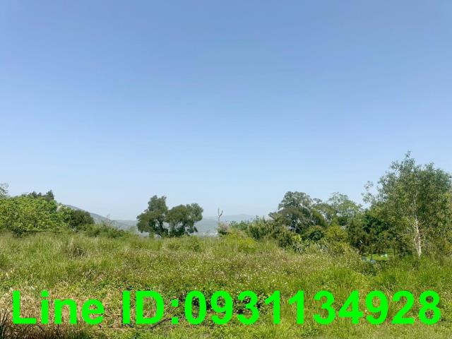 外埔農地-3