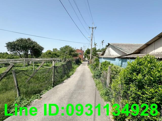 外埔農地-4