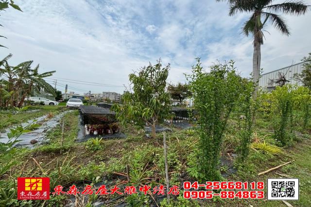 大雅農地-2