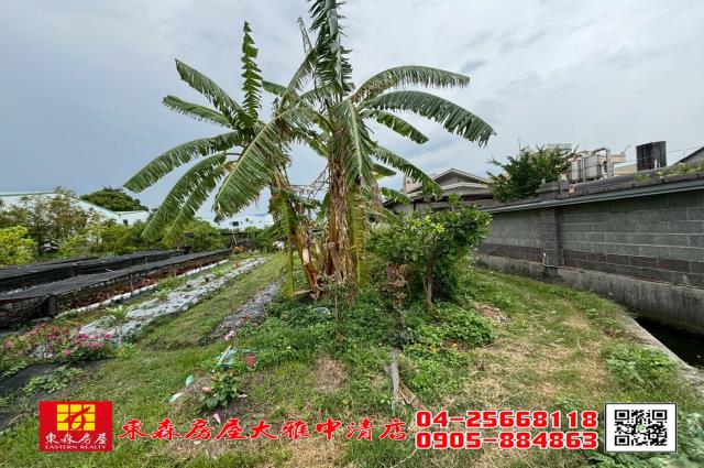 大雅農地-4