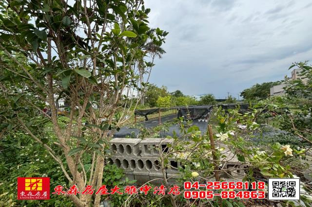 大雅農地-5