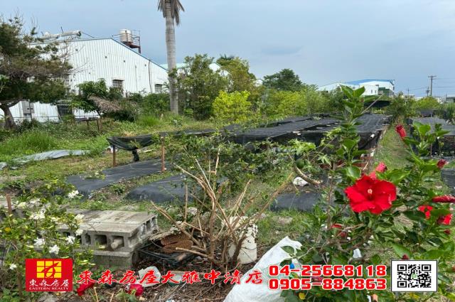 大雅農地-6