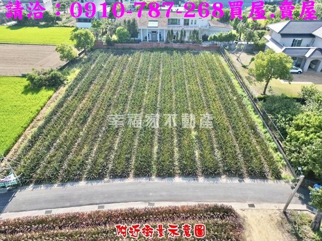 歸仁農地-9