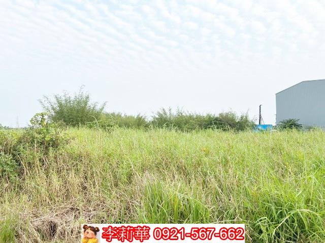 關廟農地-6