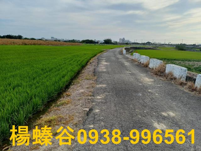 台南新營農地-8